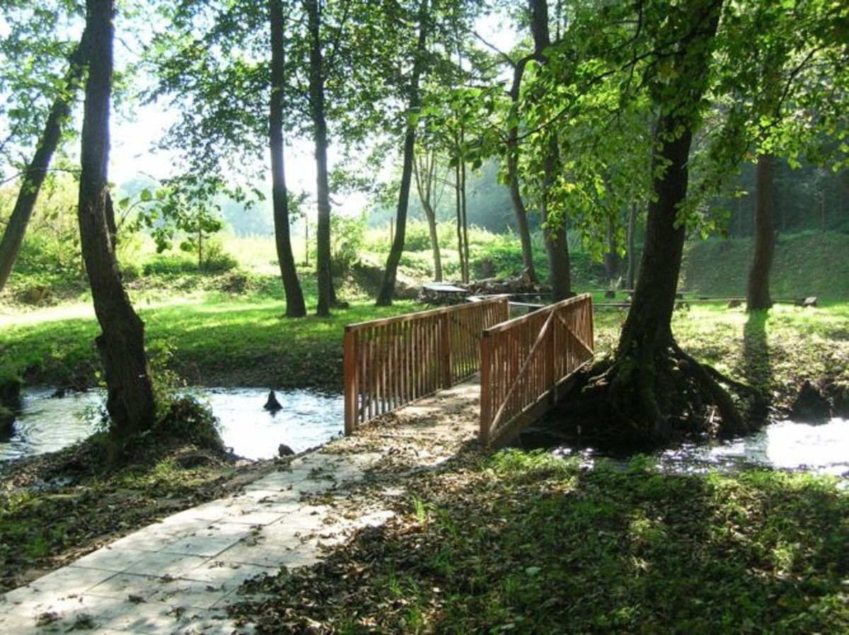 Januszowice, parking